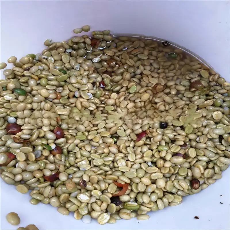 Birui High Productivity Stainl - Coffee Equipment Usa ulasan dan harga